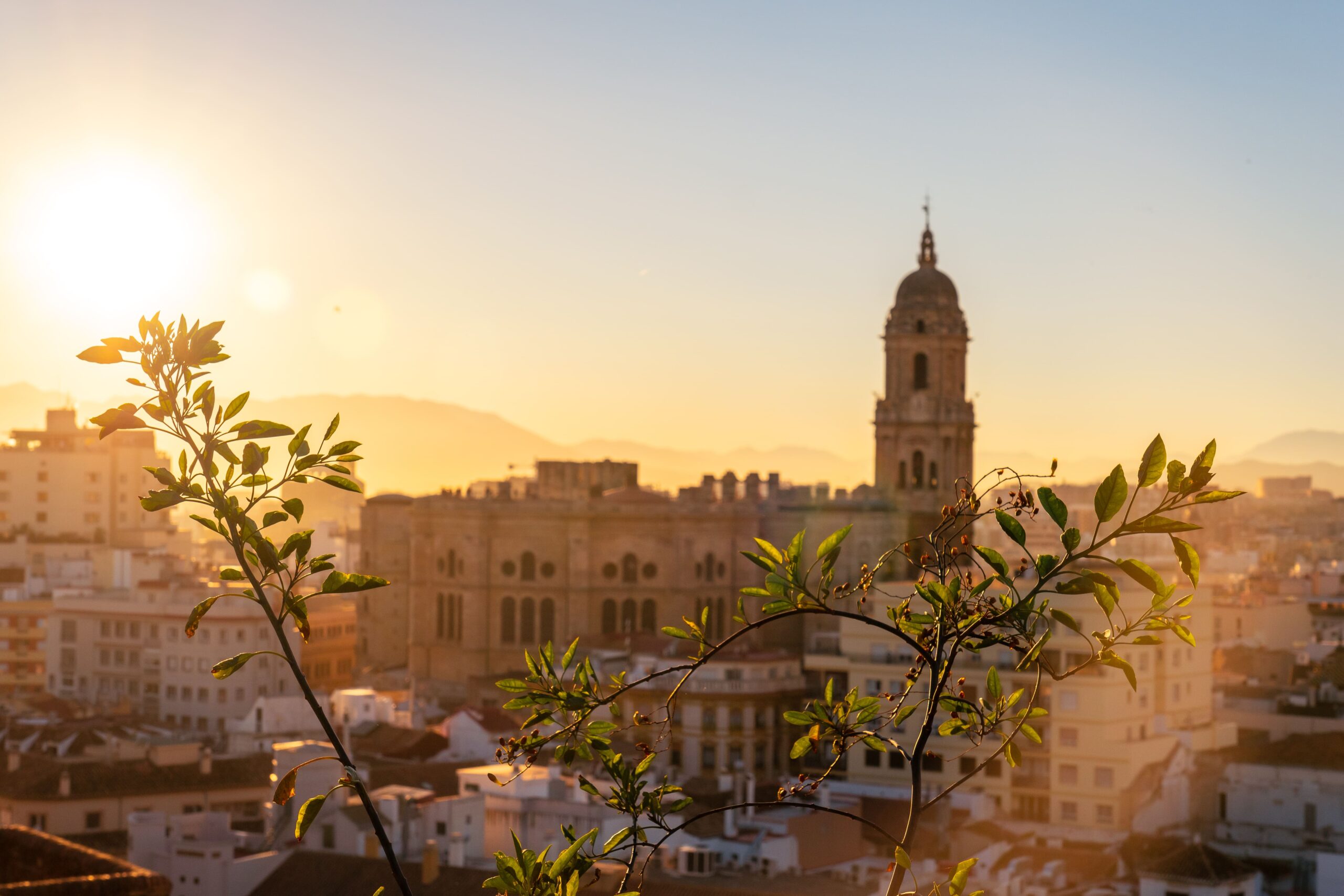 imagen panoramica de unas vistas de malaga